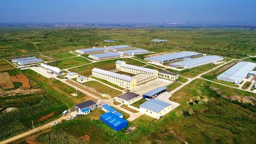 ��������|��ҳ