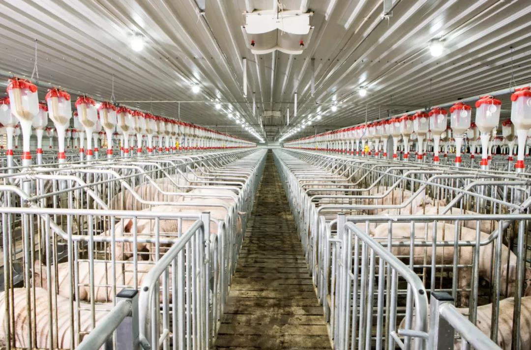 ��������|��ҳ