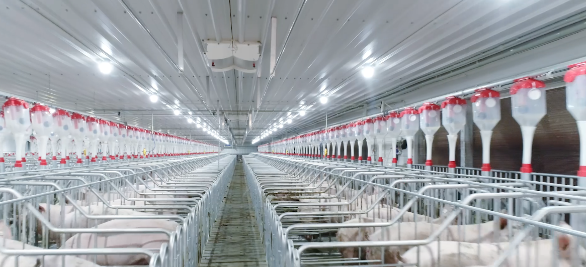 ��������|��ҳ