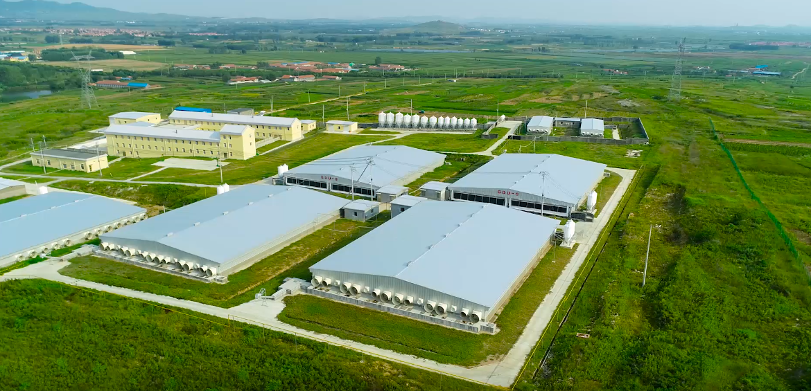 ��������|��ҳ