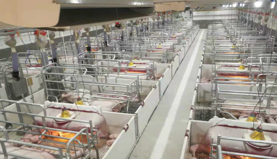 ��������|��ҳ