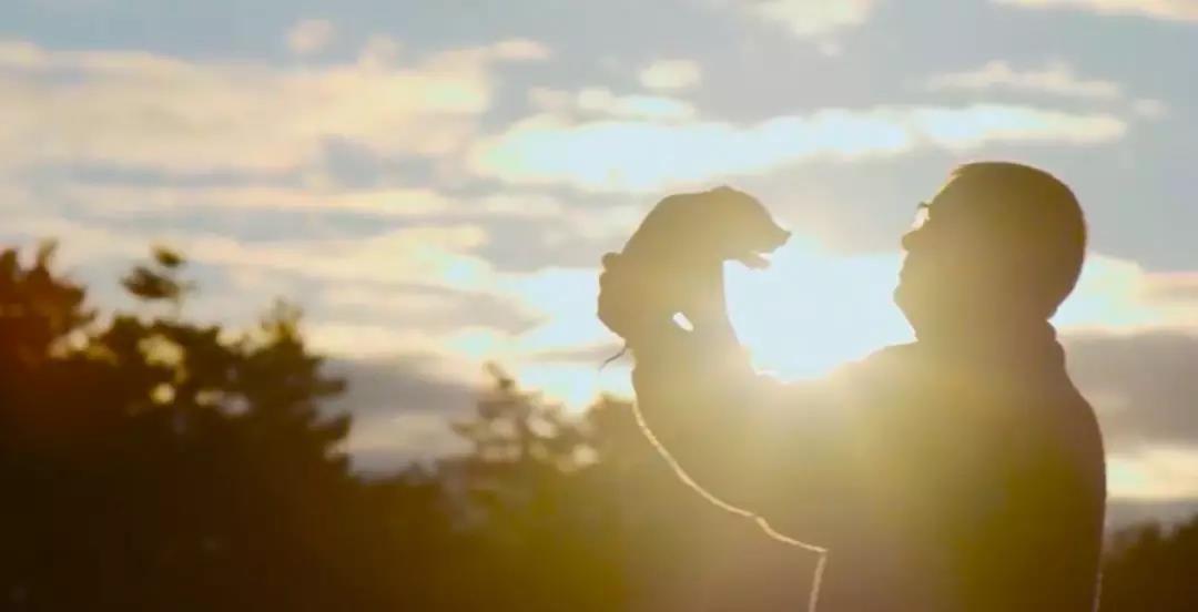 3.jpg °¬ÉÐÌåÓý|Ö÷Ò³