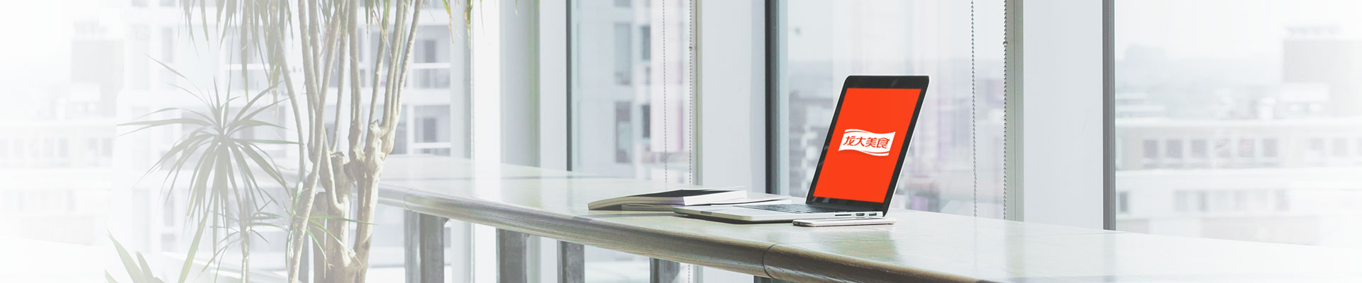 ��ϵ������������