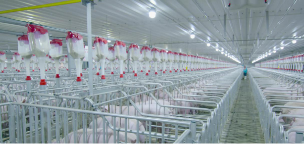 ��������|��ҳ