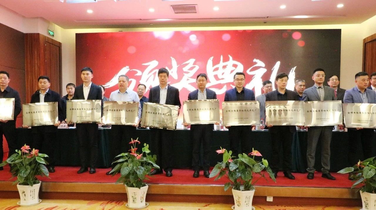 ��������|��ҳ