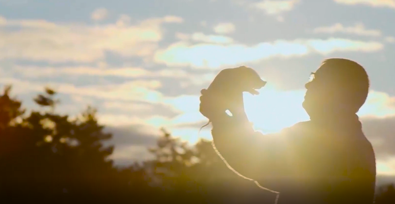 ��������|��ҳ