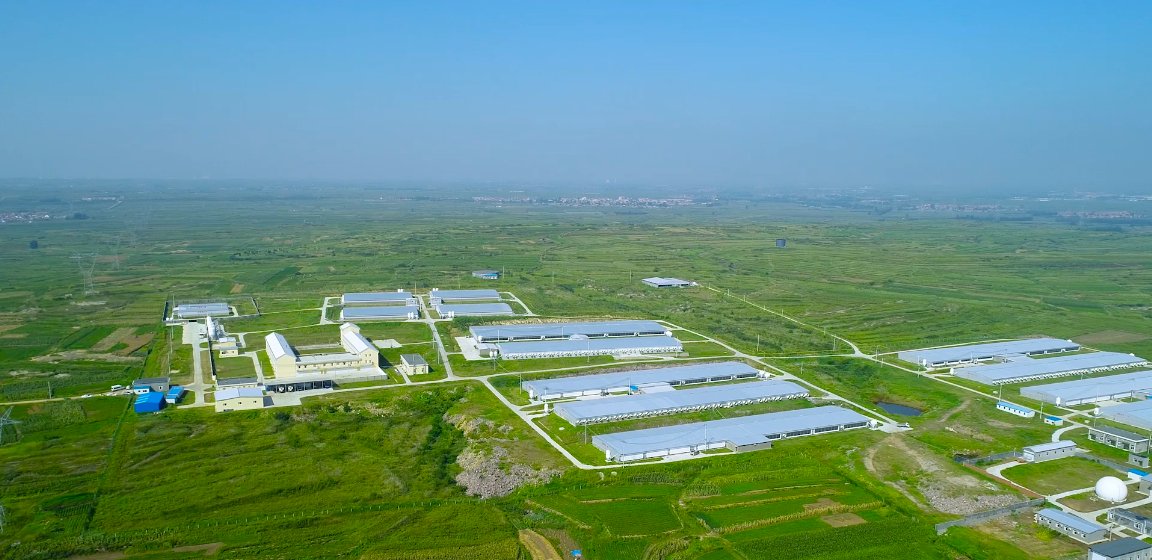 ��������|��ҳ