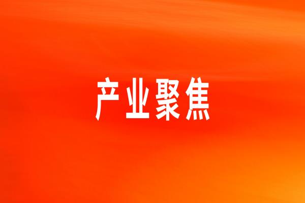 ������Ӧ��ר�����񡪡������ͻ�����ġ���������������ʳ���塱