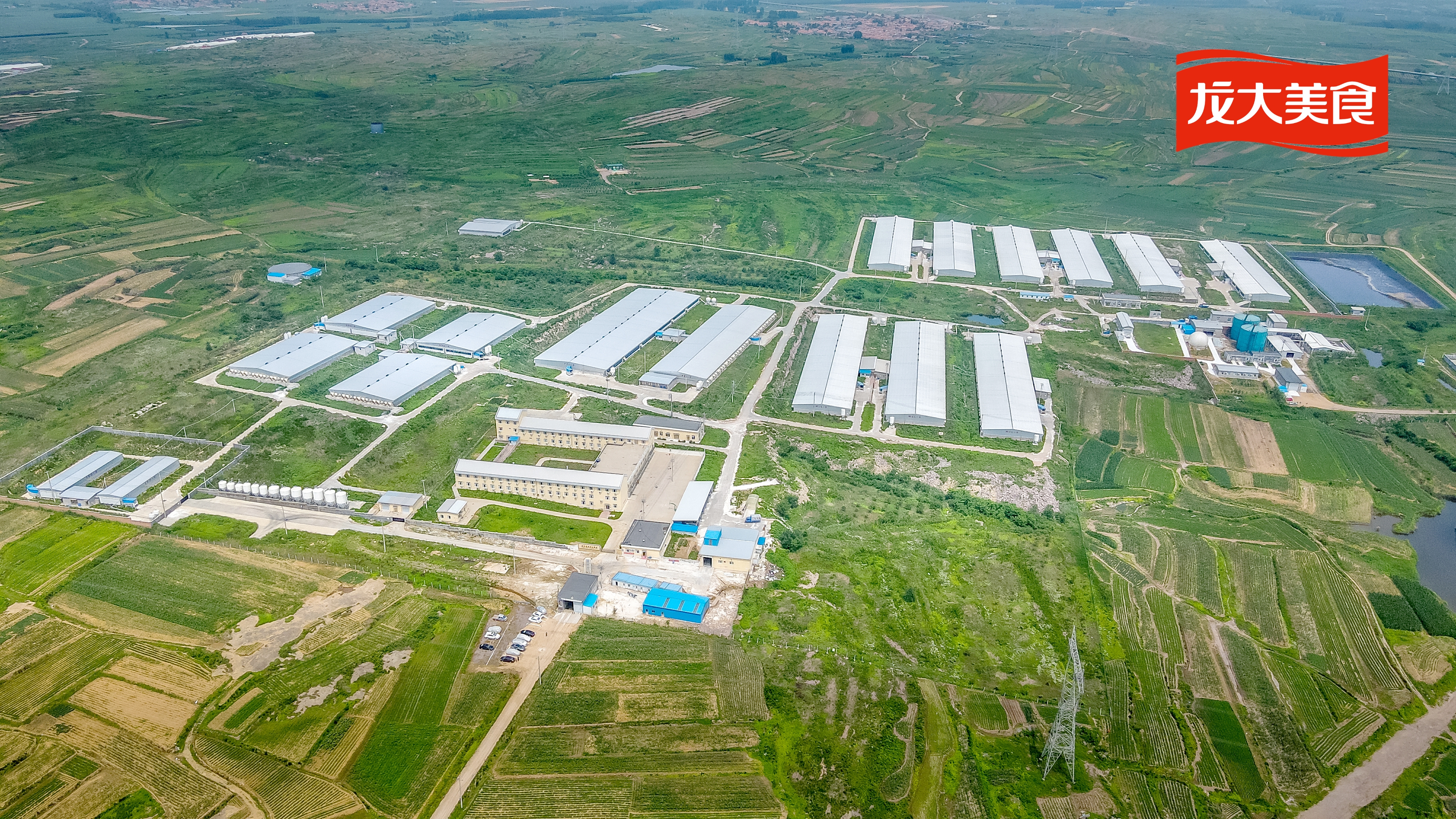 ��������������ʳ˳���������ɺ����������������������������������У�